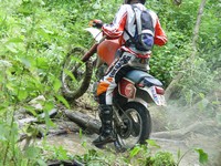 [Click to enlarge image]