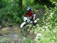 [Click to enlarge image]