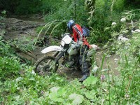 [Click to enlarge image]