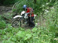 [Click to enlarge image]