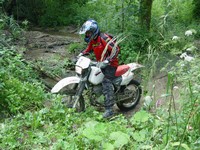 [Click to enlarge image]