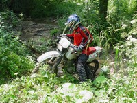 [Click to enlarge image]