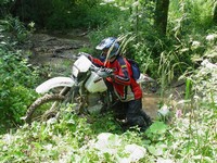 [Click to enlarge image]