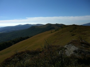 Click do Powi�kszenia