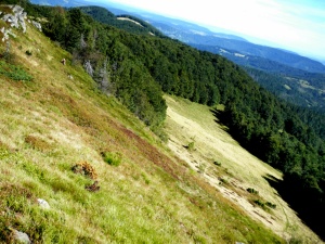 Click do Powi�kszenia