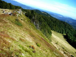 Click do Powi�kszenia