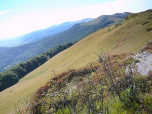 Click do Powi�kszenia