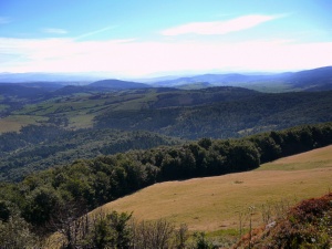 Click do Powi�kszenia