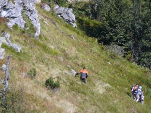 Click do Powi�kszenia