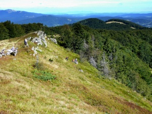 Click do Powi�kszenia