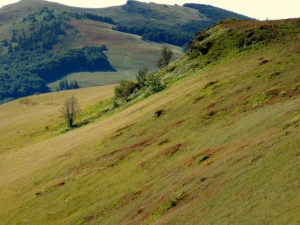 Click do Powi�kszenia