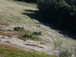 Click do Powi�kszenia