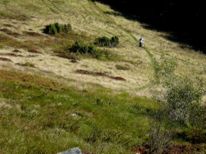 Click do Powi�kszenia