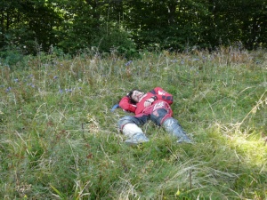 Click do Powi�kszenia