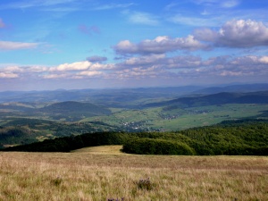 Click do Powi�kszenia