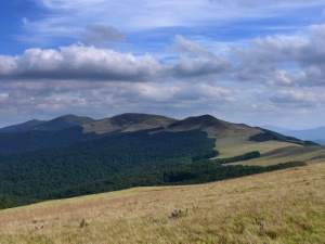 Click do Powi�kszenia