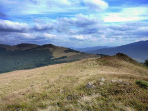 Click do Powi�kszenia