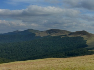 Click do Powi�kszenia