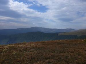 Click do Powi�kszenia