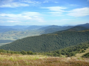 Click do Powi�kszenia