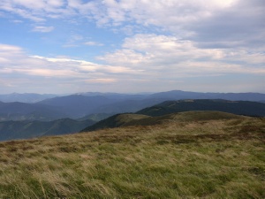 Click do Powi�kszenia