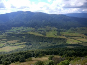 Click do Powi�kszenia