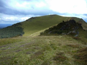 Click do Powi�kszenia