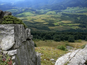 Click do Powi�kszenia