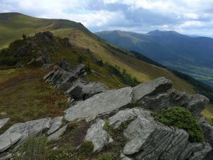 Click do Powi�kszenia