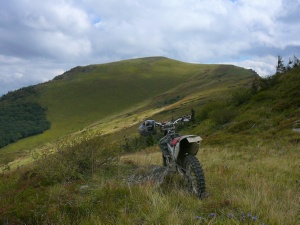 Click do Powi�kszenia