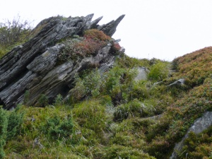 Click do Powi�kszenia