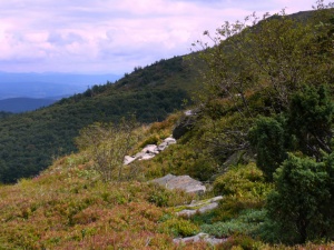 Click do Powi�kszenia