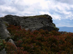 Click do Powi�kszenia