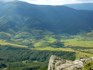 Click do Powi�kszenia