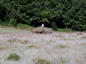 Click do Powi�kszenia