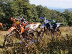 Click do Powi�kszenia