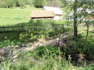 Click do Powi�kszenia