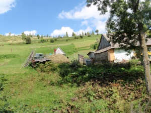 Click do Powi�kszenia