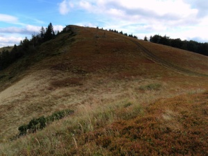 Click do Powi�kszenia