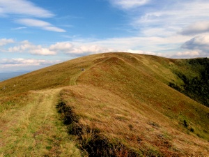 Click do Powi�kszenia