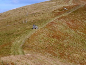 Click do Powi�kszenia