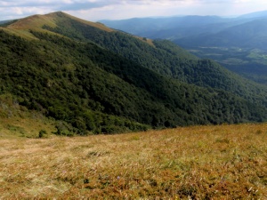 Click do Powi�kszenia