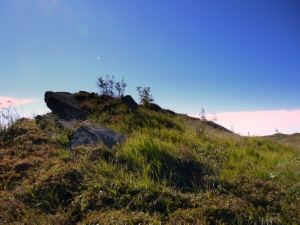 Click do Powi�kszenia