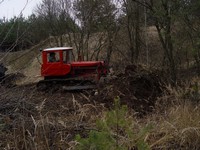 [Click to enlarge image]