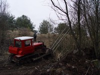 [Click to enlarge image]