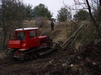 [Click to enlarge image]