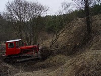 [Click to enlarge image]