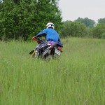 [Click to enlarge image]