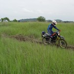 [Click to enlarge image]