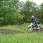 [Click to enlarge image]